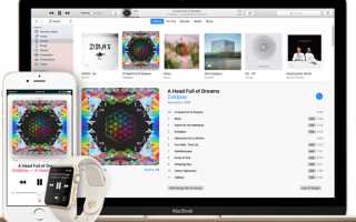 Как установить и настроить iTunes на компьютере