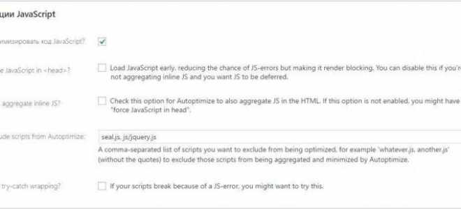 Настройка плагина Autoptimize оптимизация wordpress сайта