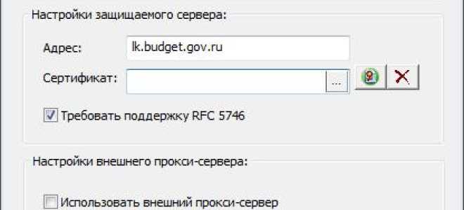 Инструкция по настройке электронного бюджета