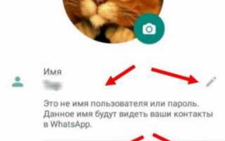 Как установить Whatsapp на андроид