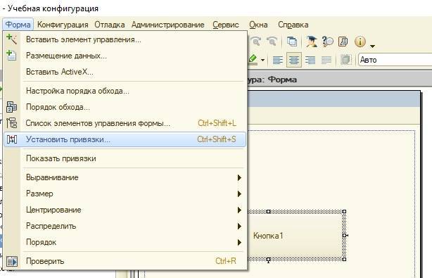 Конфигурация форма. Обычные формы 1с. Форма элемента 1с. Элементы управления 1с. Редактор обычных форм 1с.